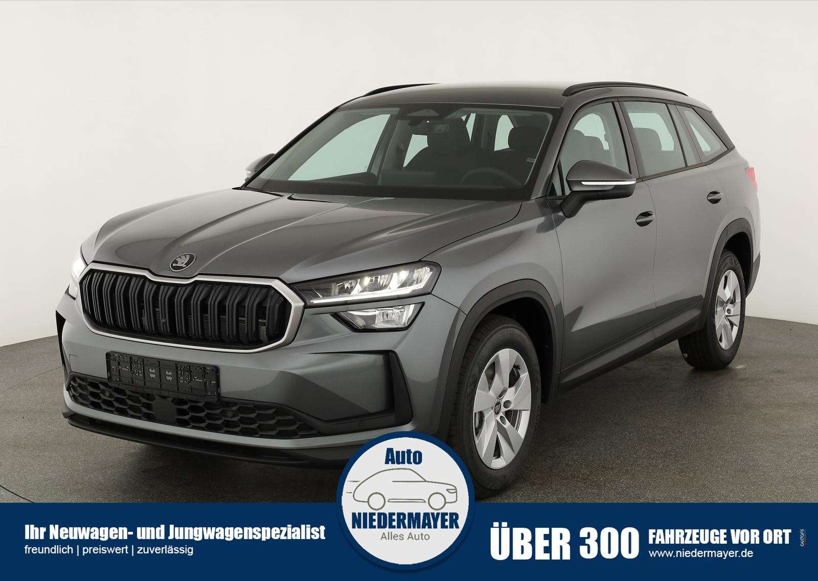 Fahrzeugbild eines Skoda Kodiaq