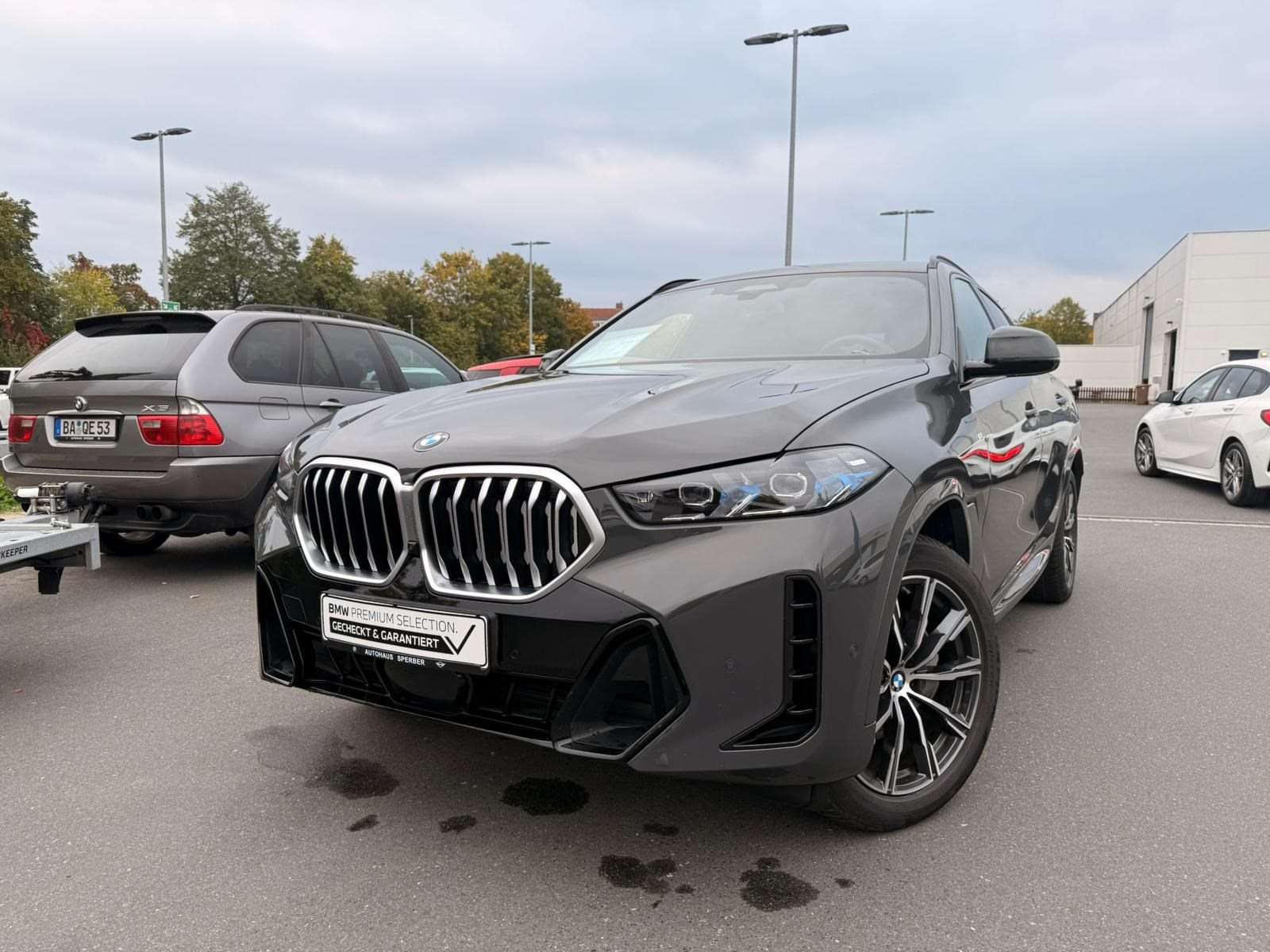 Fahrzeugbild eines BMW X6