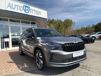 Bild Skoda Kodiaq