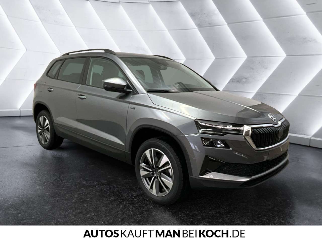 Fahrzeugbild eines Skoda Karoq