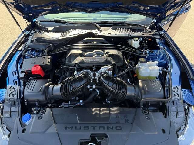 Fahrzeugbild eines Ford Mustang
