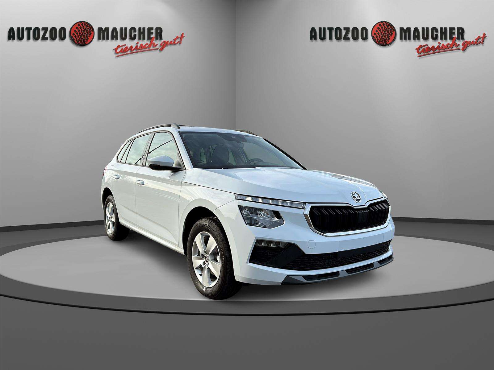 Fahrzeugbild eines Skoda Kamiq