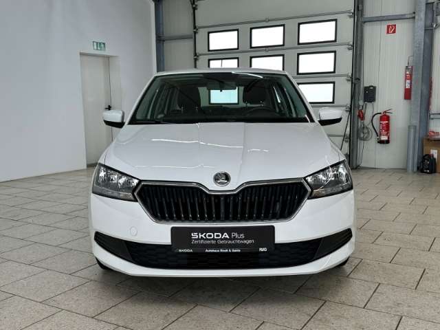 Fahrzeugbild eines Skoda Fabia