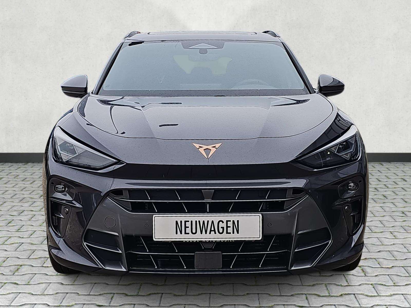 Fahrzeugbild eines CUPRA Terramar