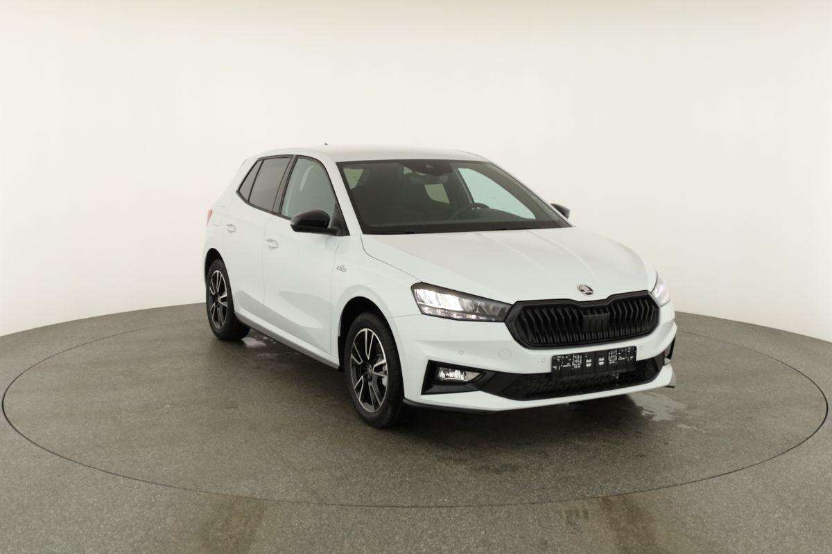 Fahrzeugbild eines Skoda Fabia