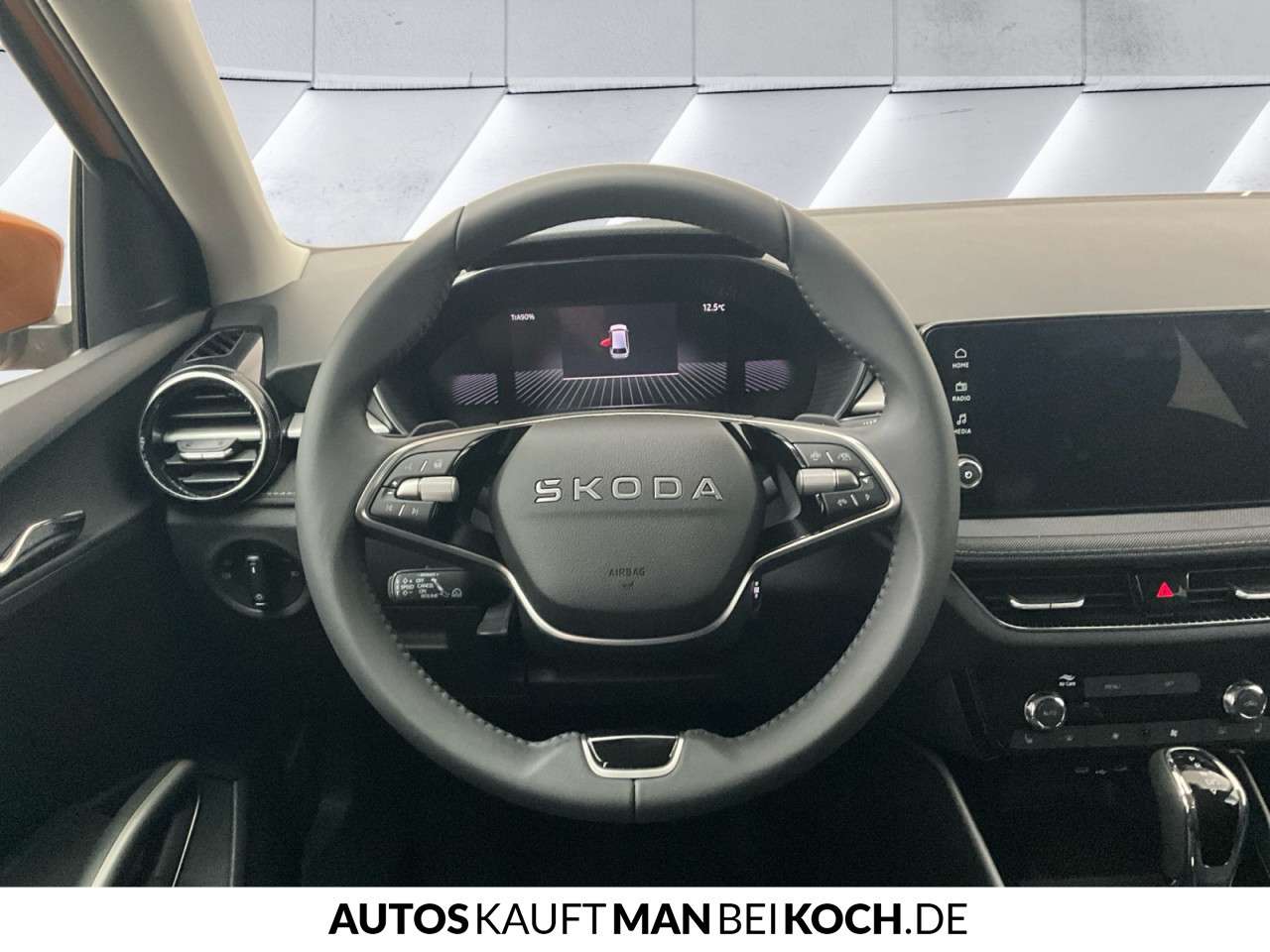 Fahrzeugbild eines Skoda Fabia