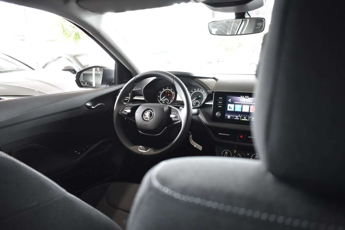 Fahrzeugbild eines Skoda Fabia