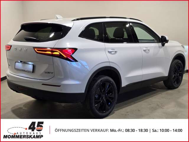 Fahrzeugbild eines GWM Haval H6