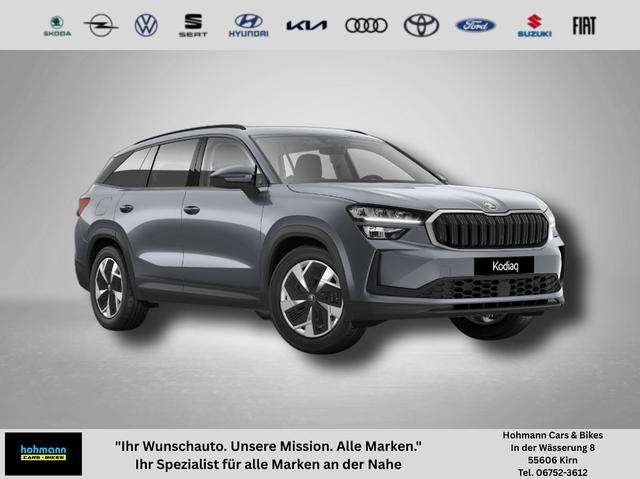 Fahrzeugbild eines Skoda Kodiaq