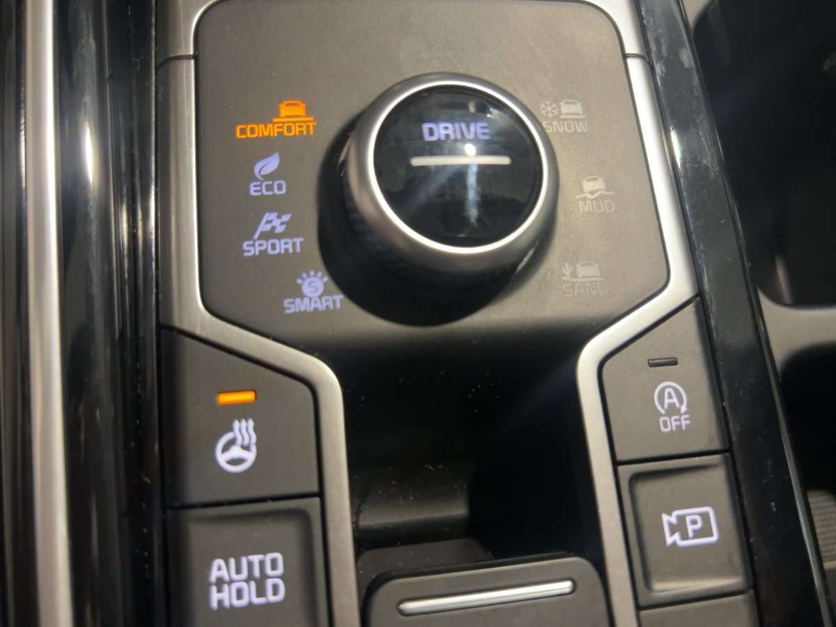 Fahrzeugbild eines Kia Sorento