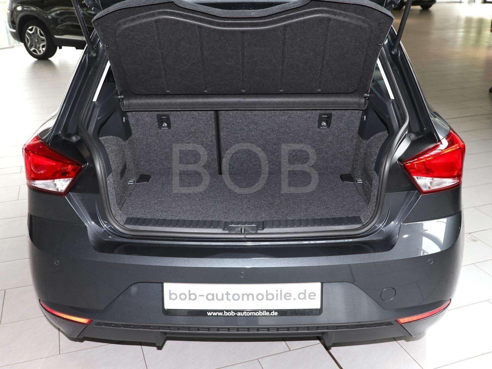 Fahrzeugbild eines SEAT Ibiza