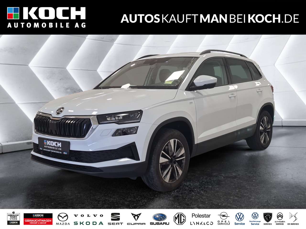 Fahrzeugbild eines Skoda Karoq