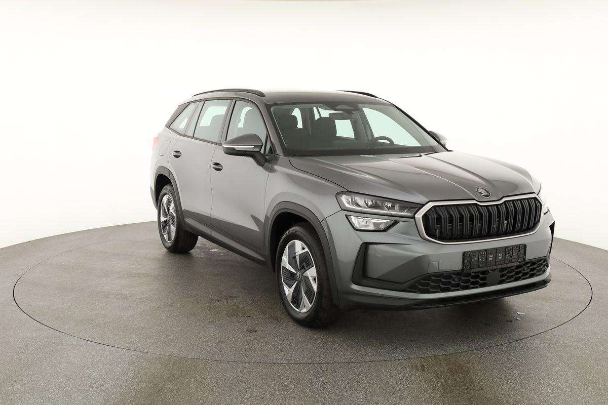 Fahrzeugbild eines Skoda Kodiaq