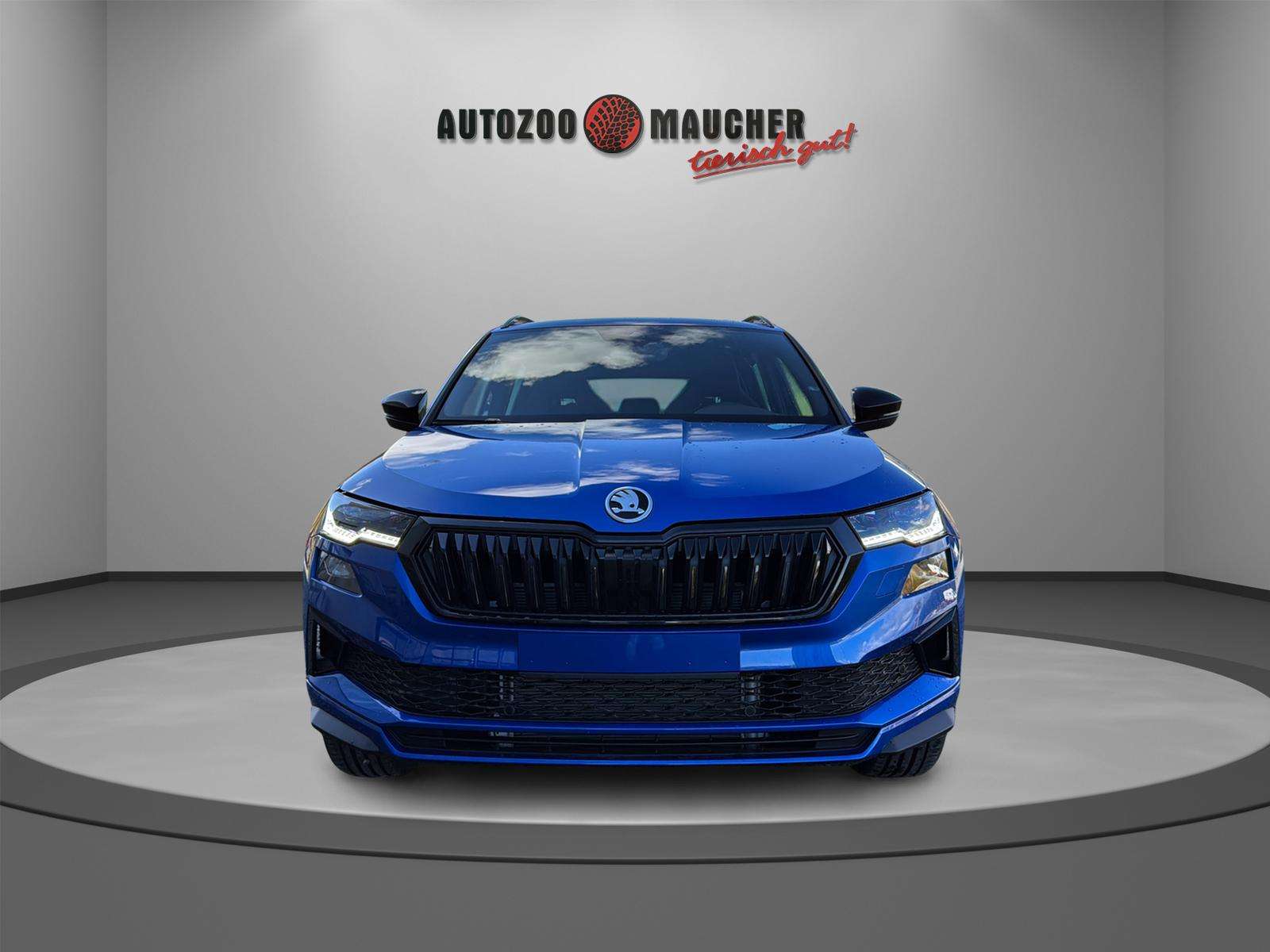 Fahrzeugbild eines Skoda Karoq