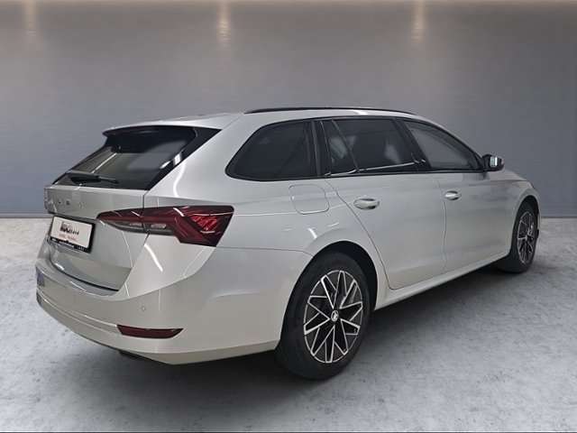 Fahrzeugbild eines Skoda Octavia