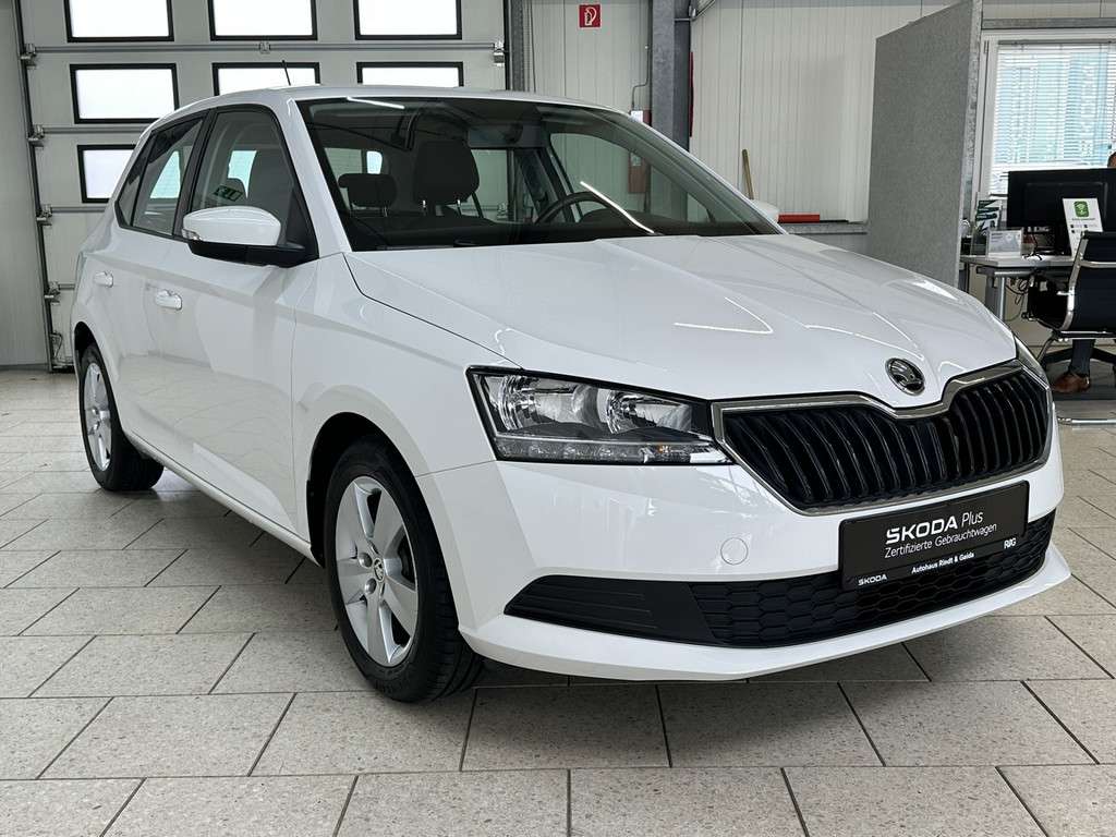 Fahrzeugbild eines Skoda Fabia