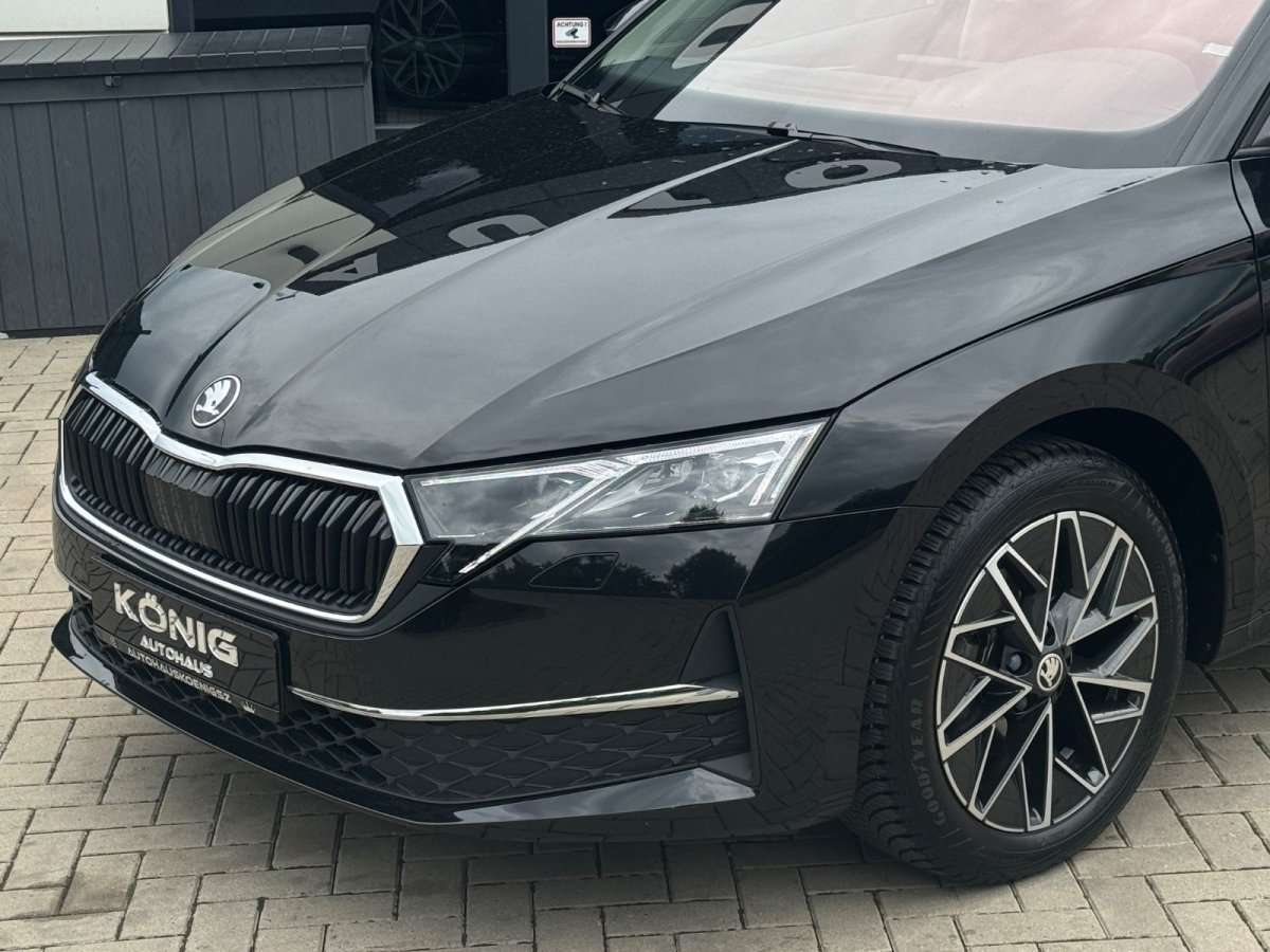 Fahrzeugbild eines Skoda Octavia