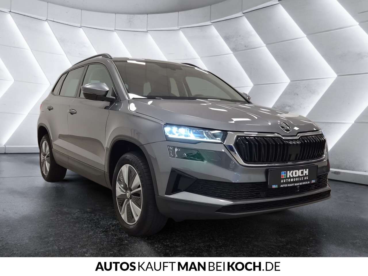 Fahrzeugbild eines Skoda Karoq