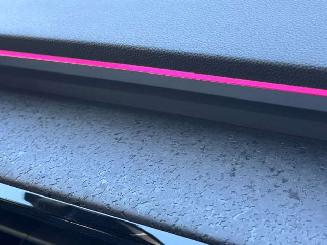 Fahrzeugbild eines Renault Rafale