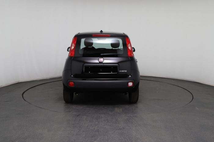 Fahrzeugbild eines Fiat Panda