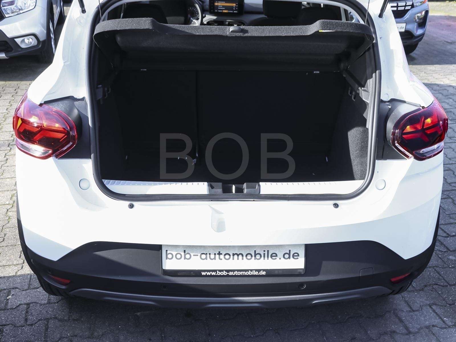 Fahrzeugbild eines Dacia Sandero