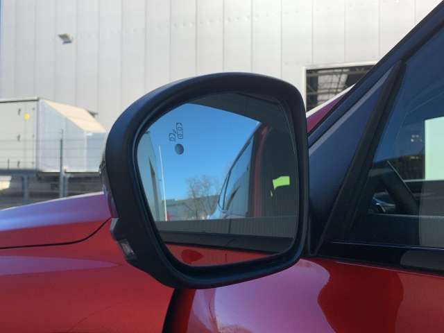 Fahrzeugbild eines Renault Arkana