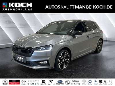 Bild Skoda Fabia