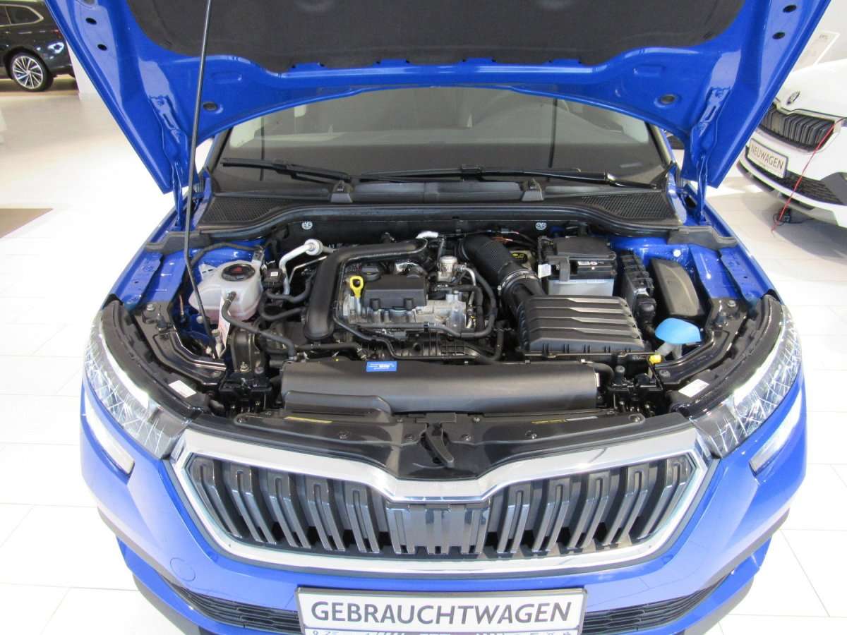 Fahrzeugbild eines Skoda Kamiq