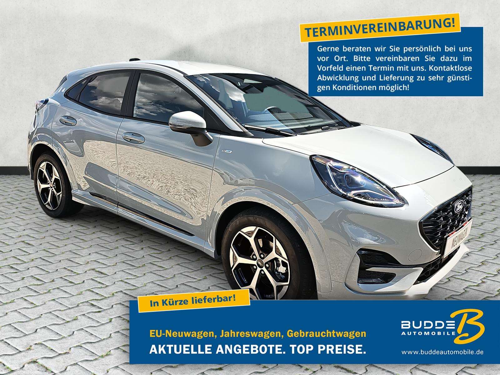 Fahrzeugbild eines Ford Puma