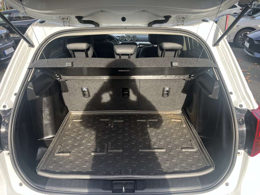 Fahrzeugbild eines Suzuki Vitara