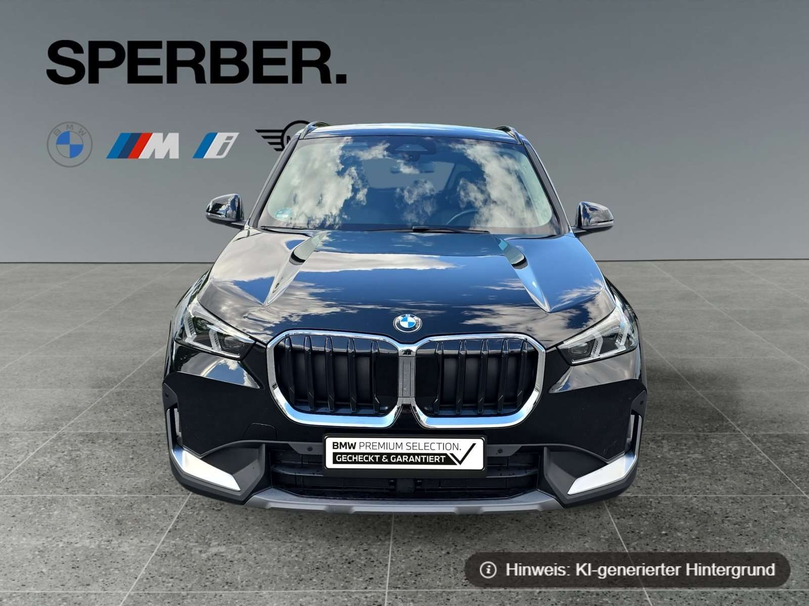 Fahrzeugbild eines BMW X1