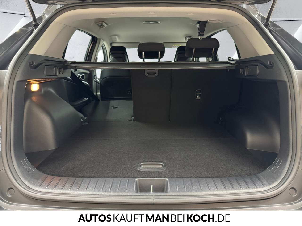 Fahrzeugbild eines Kia Sportage