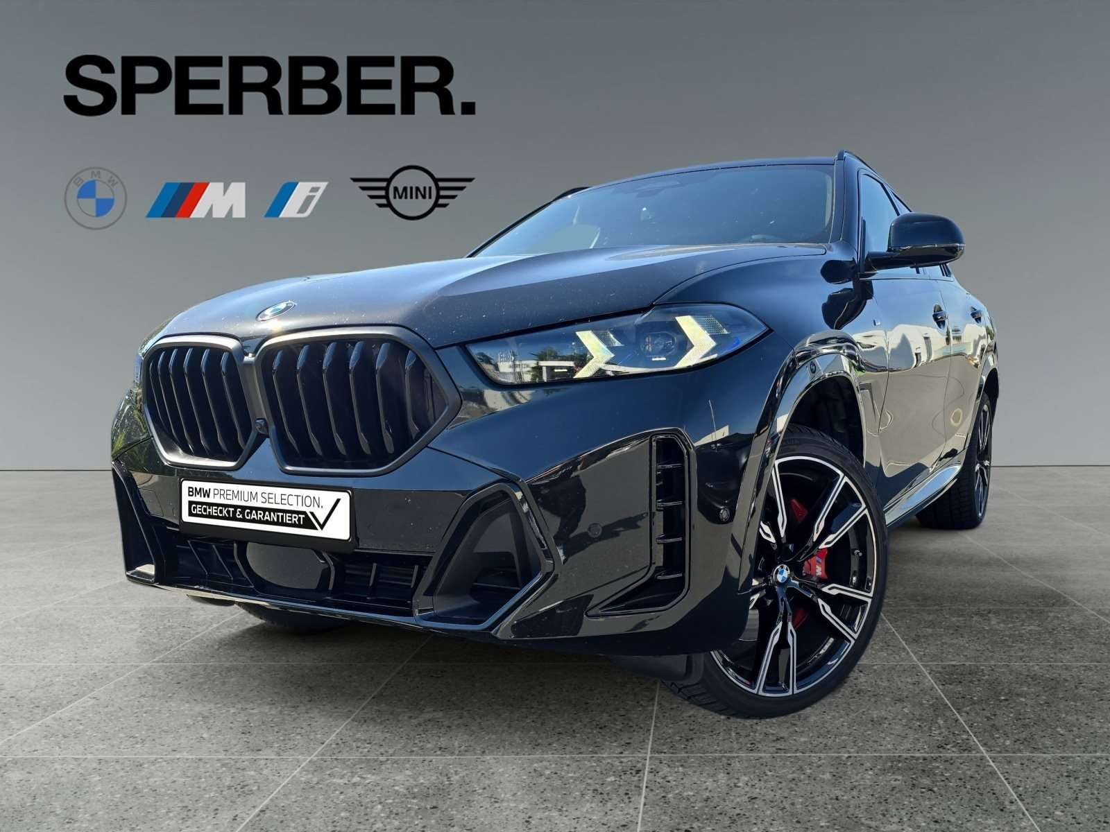 Fahrzeugbild eines BMW X6