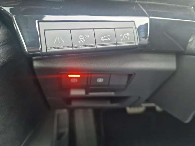 Fahrzeugbild eines Renault Austral