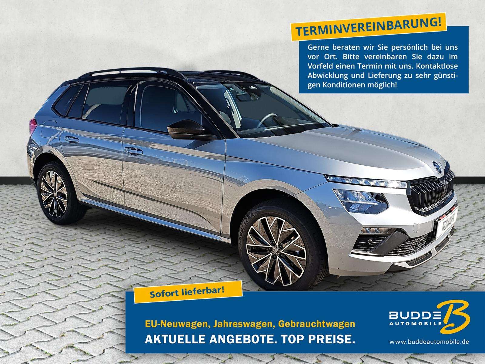 Fahrzeugbild eines Skoda Kamiq