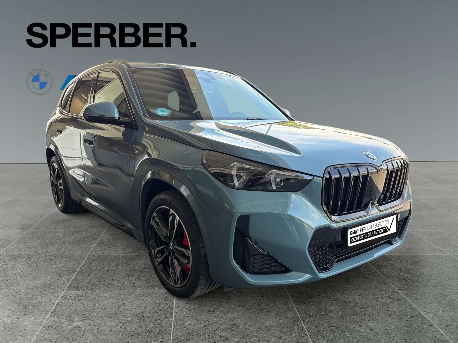 Fahrzeugbild eines BMW X1