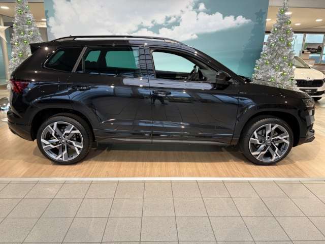 Fahrzeugbild eines Skoda Karoq