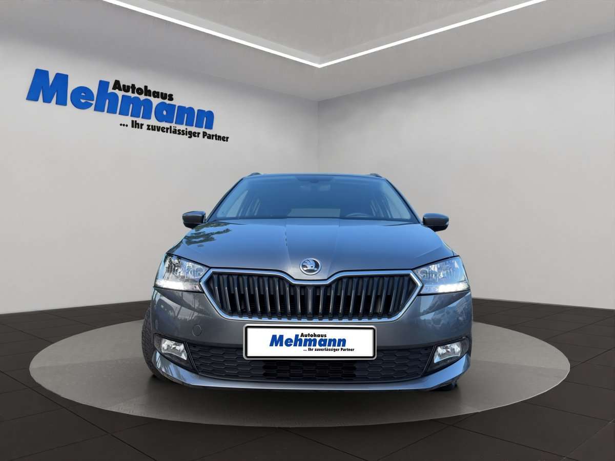 Fahrzeugbild eines Skoda Fabia