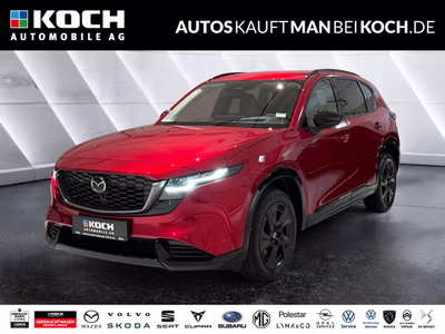 Bild Mazda Mazda2