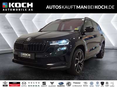Bild Skoda Karoq