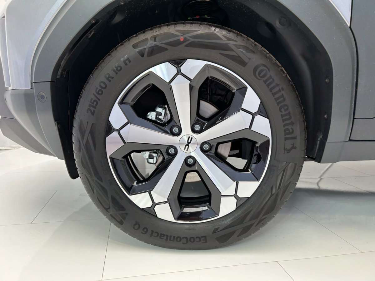 Fahrzeugbild eines Dacia Duster