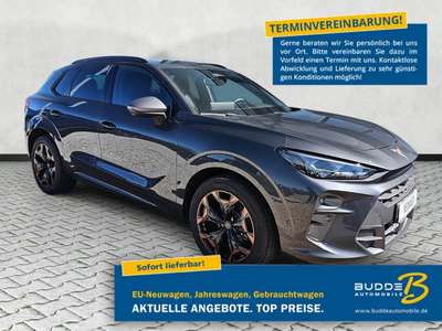 Bild CUPRA Terramar