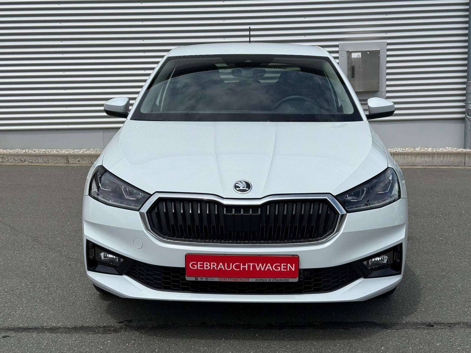 Fahrzeugbild eines Skoda Fabia