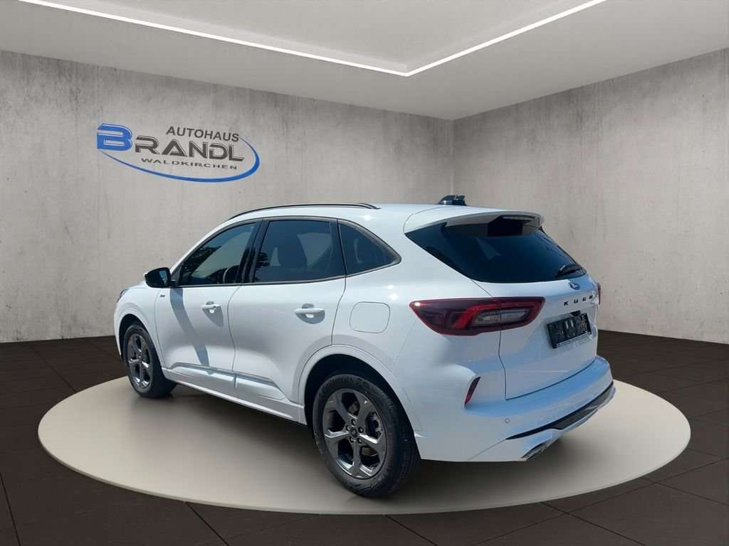 Fahrzeugbild eines Ford Kuga