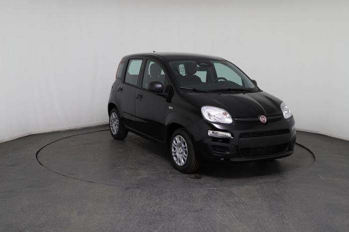 Fahrzeugbild eines Fiat Panda