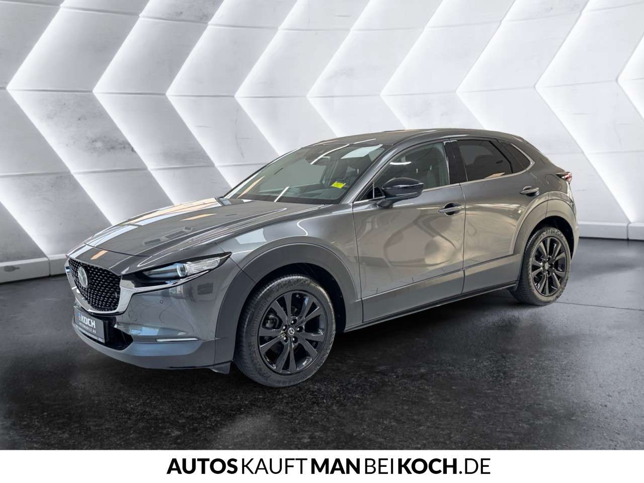 Fahrzeugbild eines Mazda CX-30