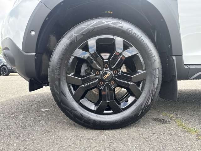 Fahrzeugbild eines Dacia Duster