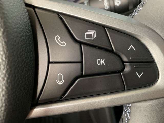Fahrzeugbild eines Dacia Duster