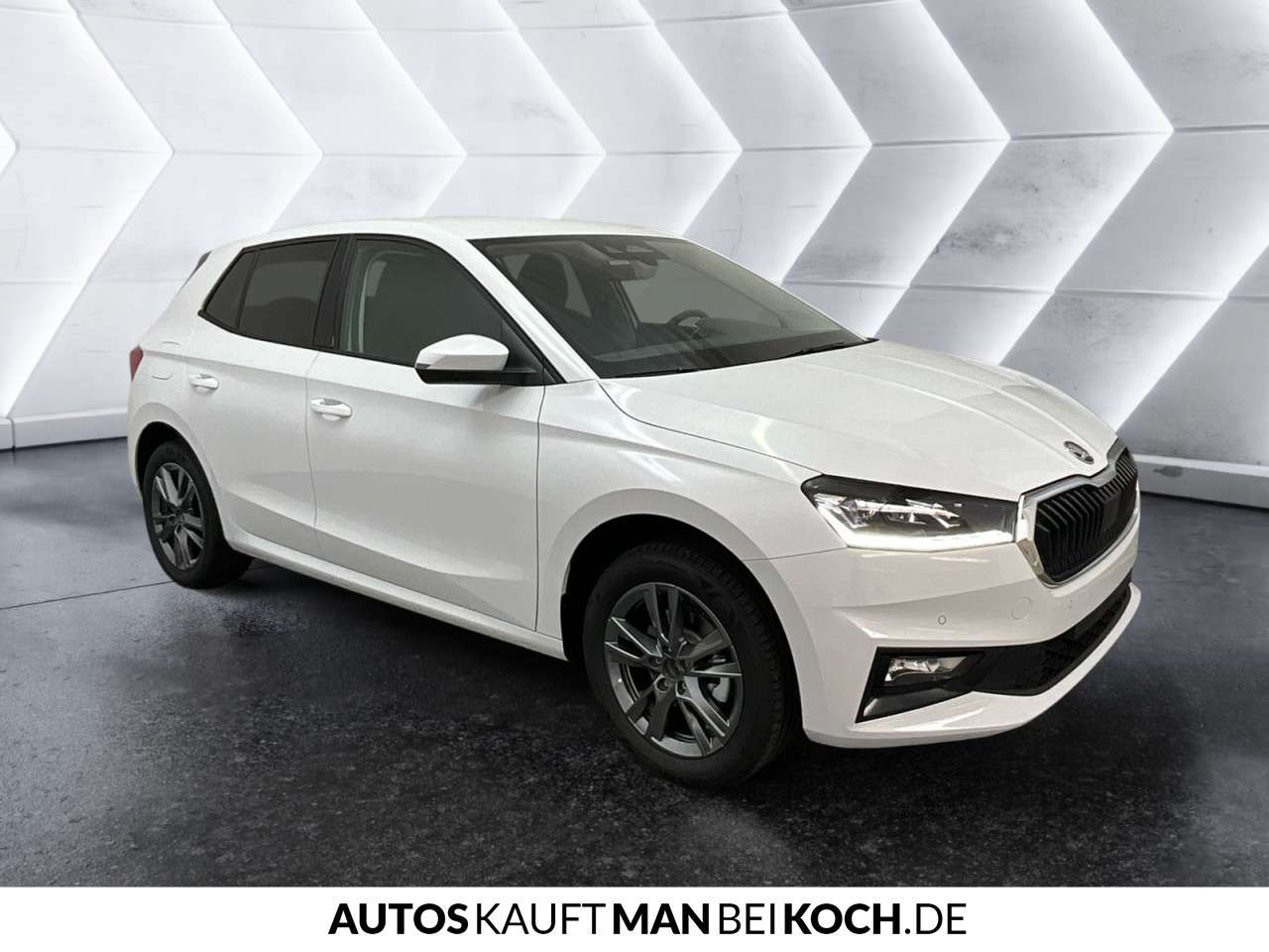 Fahrzeugbild eines Skoda Fabia