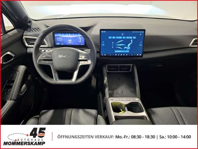 Fahrzeugbild eines BYD Atto 2
